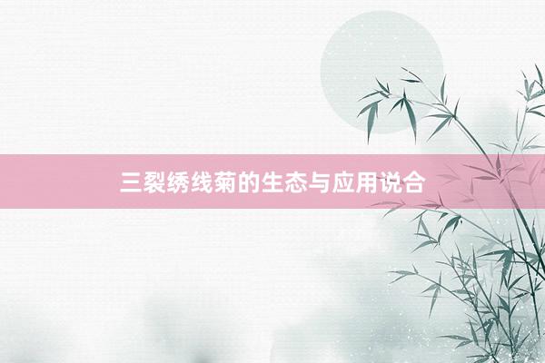 三裂绣线菊的生态与应用说合