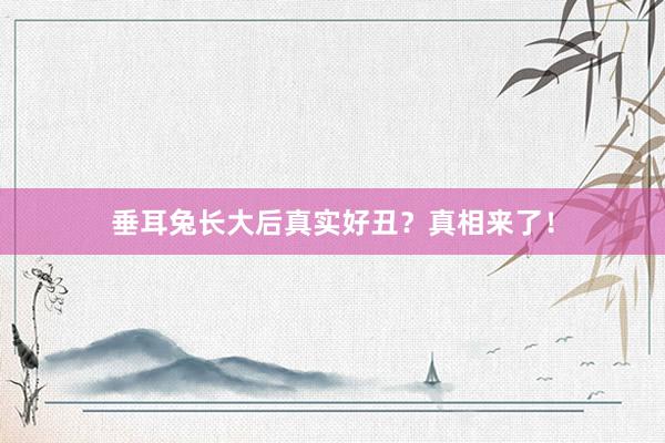 垂耳兔长大后真实好丑？真相来了！