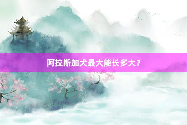 阿拉斯加犬最大能长多大？